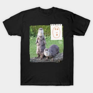 Otter and Otter T-Shirt